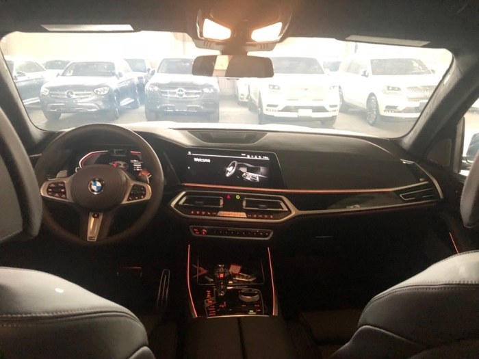 宝马X7 2020款 xDrive40i M运动 卓越豪华 加规