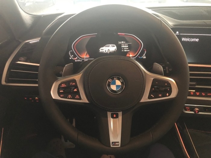 宝马X7 2020款 xDrive40i M运动 卓越豪华 加规