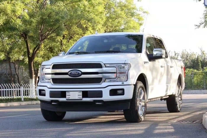 福特F-150(猛禽) 2020款 3.5T 四门 XLT 白金 墨规