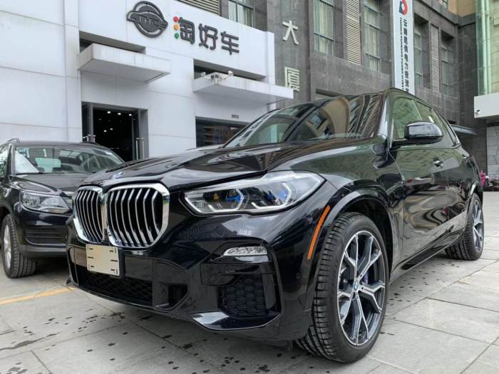 宝马X5 2022款 xDrive40i M运动 大豪华包  加规