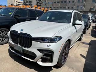 宝马X7  22款 xDrive40i M运动 卓越豪华 6座 加规