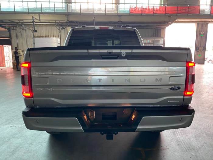 福特F-150(猛禽) 2022款 3.5T 四门 白金版 墨规