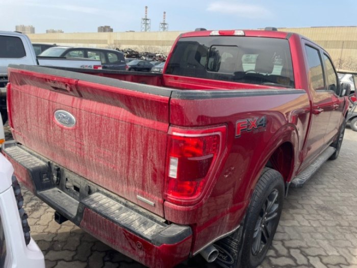 福特F-150(猛禽) 2021款 3.5T 四门 XLT 加规