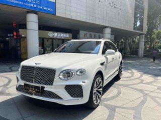 添越  22款 3.0T 插电混动 标准型 欧规