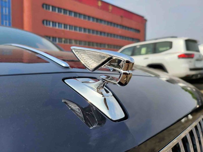 飞驰 2022款 4.0T 五座 欧规
