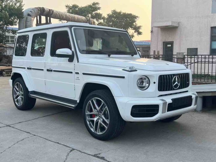 奔驰G63 AMG 2023款 G63 加规