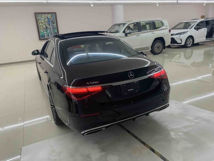 奔驰S级 2022款 S500 长轴 四驱 加规