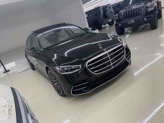 奔驰S级 2022款 S500 长轴 四驱 加规