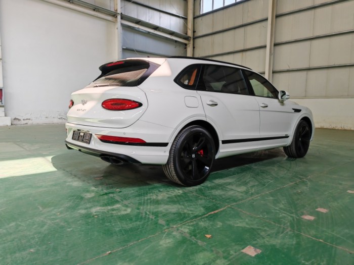 添越 2023款 4.0T 雅度 欧规