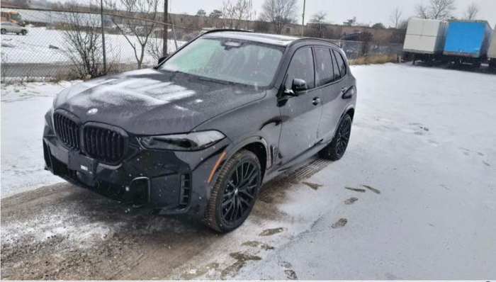 宝马X5 2024款 xDrive40i M运动 大豪华包 加规