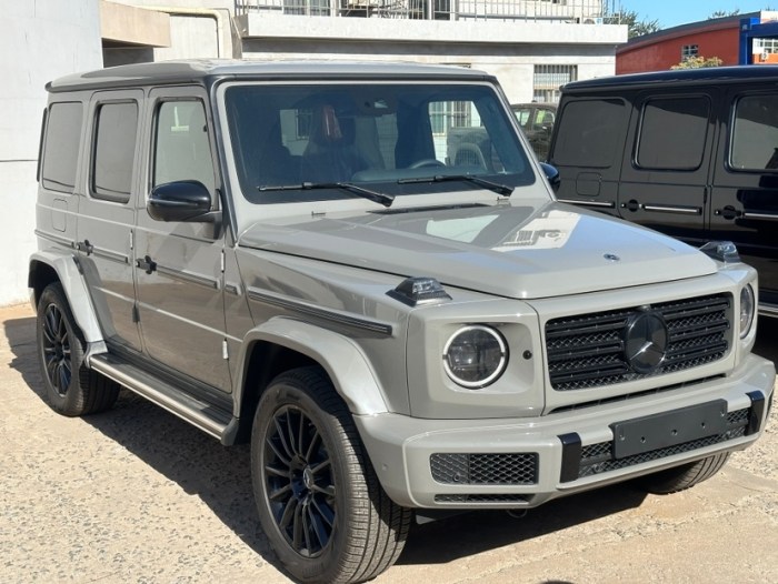 奔驰G400d 2024款 G400d 欧规