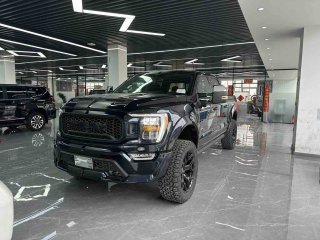 福特F-150(猛禽)  21款 3.5T 四门 谢尔比美规