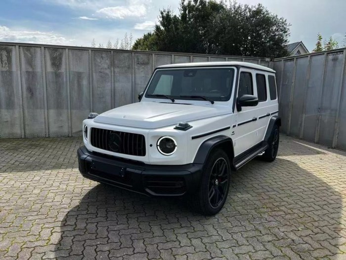奔驰G63 AMG 2023款 G63 欧规