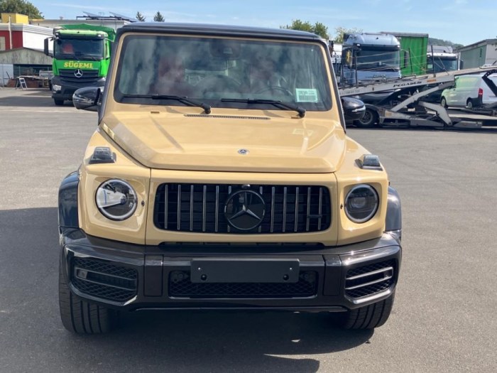 奔驰G63 AMG 2023款 G63 欧规